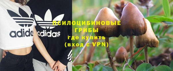 spice Алексин