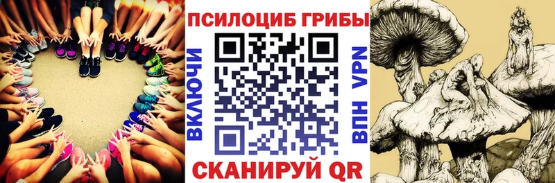 Псилоцибиновые грибы Cubensis  Осташков 
